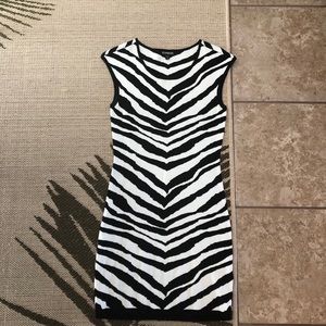 Express brand zebra print sweater dress